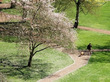 Frühling im DFG Frühling im DFG