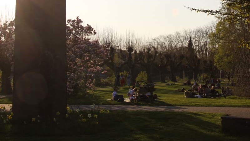Biergarten am Staden Biergarten am Staden