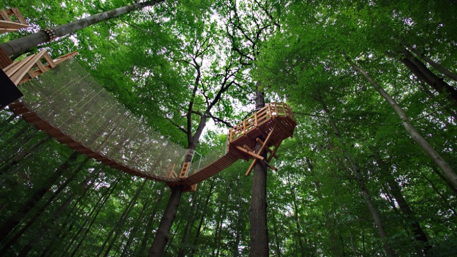 Abenteuerpark Abenteuerpark