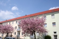 Häuserzeile mit neuer Fassade in hellem Farbton, blühende Bäume mit rosa Blüten davor. Drei Wohnetagen. Dächer neu.