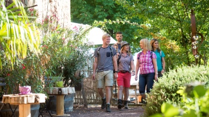 Frohn-Wald-Weg (©RV_Manuela Meyer) Frohn-Wald-Weg (©RV_Manuela Meyer)