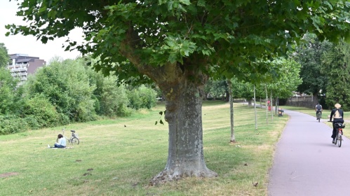 Fahrrad im Park in Saarbrücken Fahrrad im Park in Saarbrücken