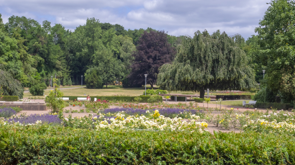 Deutsch Französischer Garten Rosengarten