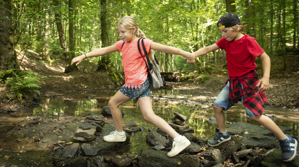 Wandern Urwald Wandern Urwald