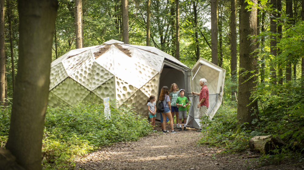 Wandern Urwald Wandern Urwald