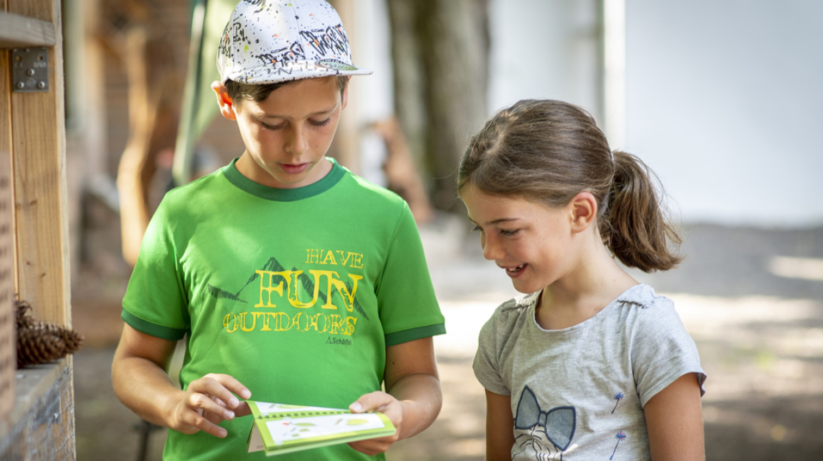 Kinder beim Familienausflug im Wald