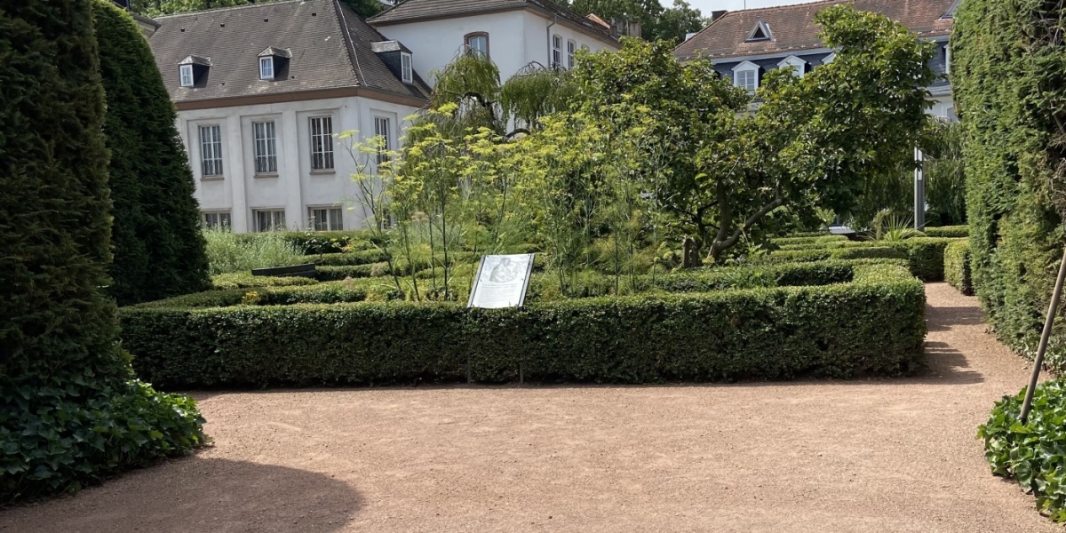 Schlossgarten Schlossgarten