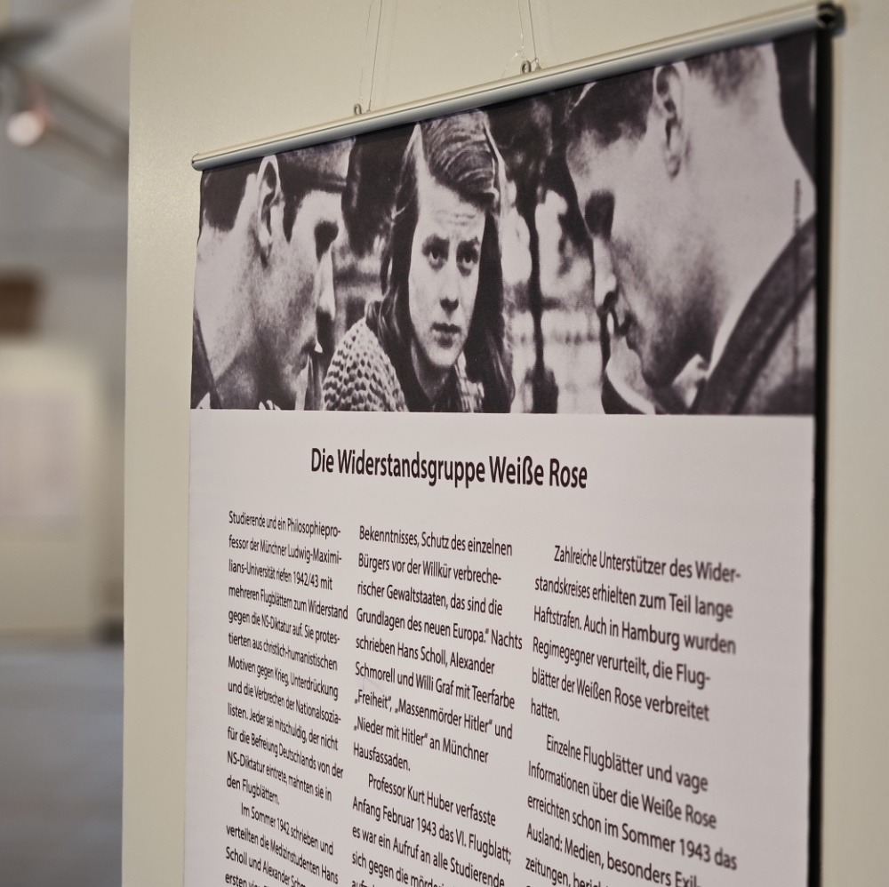 Bild der Ausstellung Die Weisse Rose